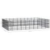 Outdoor Dog Kennel Steel 595.2 ft¬≤
